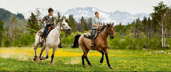 Confident plus-size woman riding Healey a horse through a field with a smile on her face.